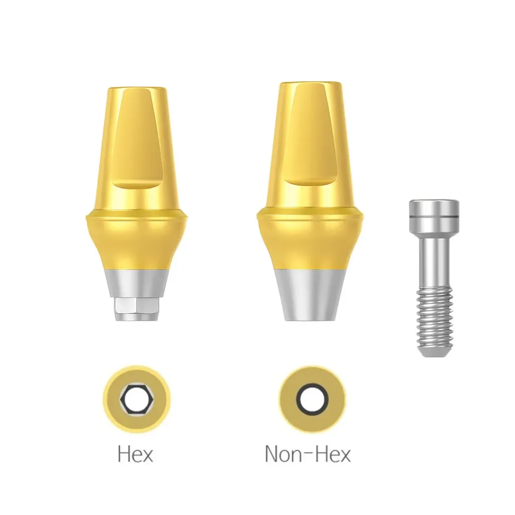 Cemented Abutment